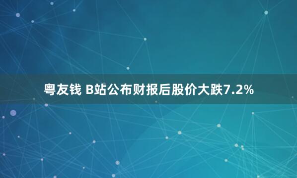 粤友钱 B站公布财报后股价大跌7.2%