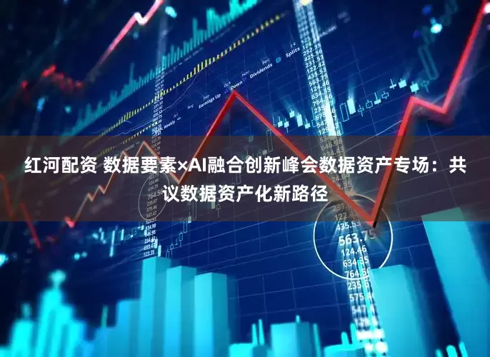 红河配资 数据要素×AI融合创新峰会数据资产专场：共议数据资产化新路径