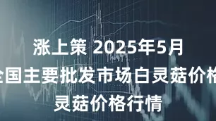 涨上策 2025年5月4日全国主要批发市场白灵菇价格行情