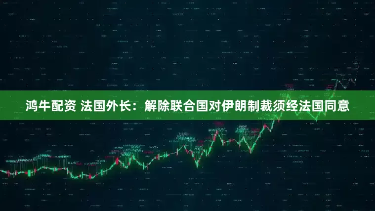 鸿牛配资 法国外长：解除联合国对伊朗制裁须经法国同意